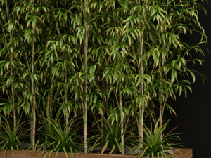 Plants collection 201 3D Model