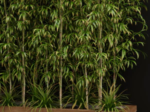Plants collection 201 3D Model