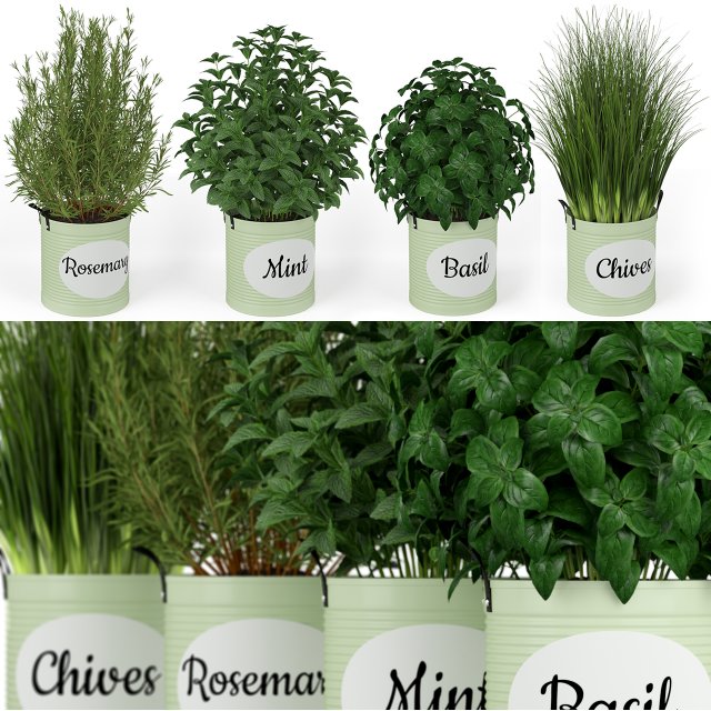 Plants collection 202 Model 3D .c4d .max .obj .3ds .fbx .stl .blend 