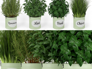 Plants collection 202 3Dモデル