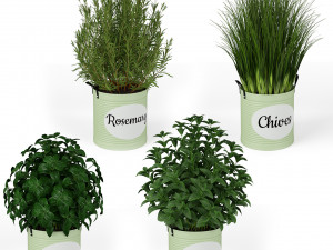 Plants collection 202 Model 3D