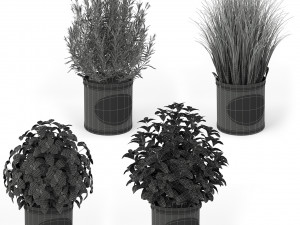 Plants collection 202 Model 3D