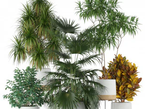 Cole&ccedil;&atilde;o de plantas 203 Modelo 3D