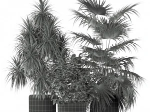 Plants collection 203 3D Model