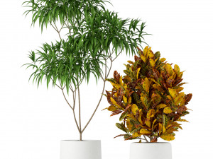 Plants collection 203 3D 模型