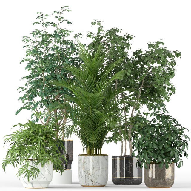 Plants collection 204 Modelo 3D .c4d .max .obj .3ds .fbx .stl .blend 