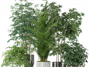 Plants collection 204 3D-Modell