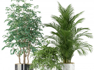Plants collection 204 Modelo 3D