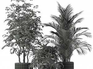 Plants collection 204 Modelo 3D