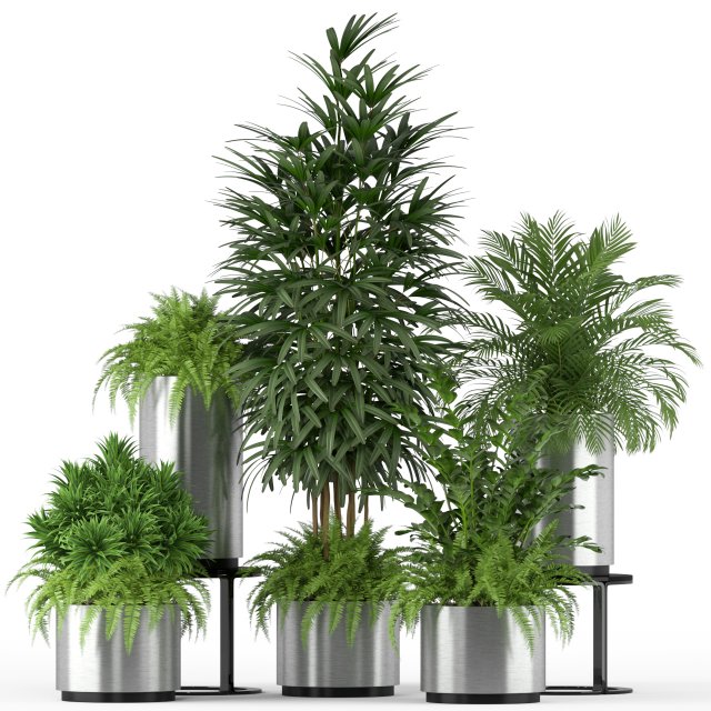 Plants collection 206 Model 3D .c4d .max .obj .3ds .fbx .stl .blend 