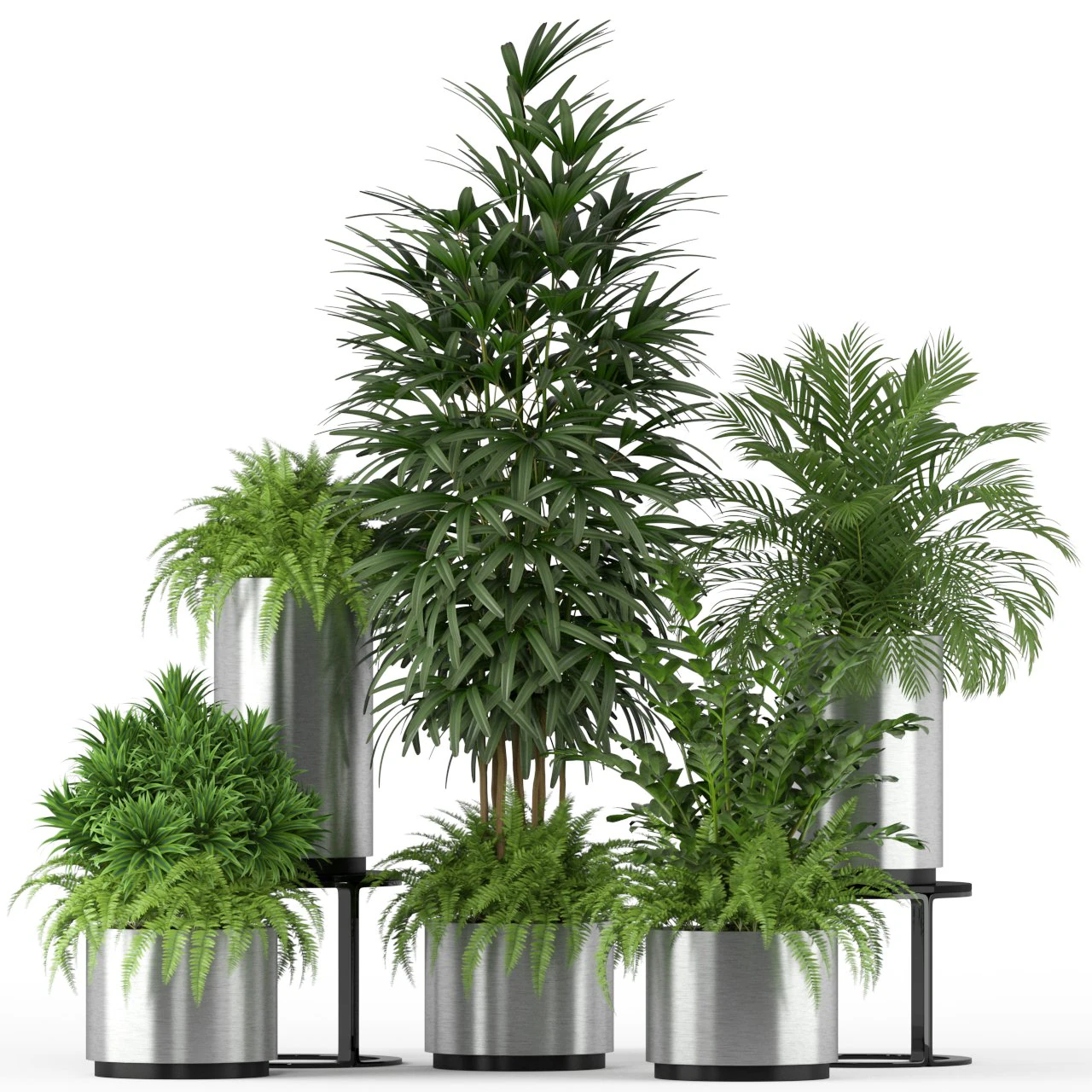 Plants collection 206 3D Model .c4d .max .obj .3ds .fbx .stl .blend 