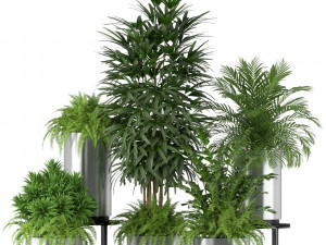 Plants collection 206 Modello 3D