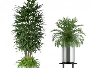 Plants collection 206 3D Model