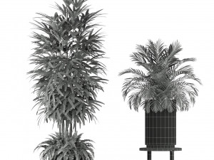 Plants collection 206 Model 3D