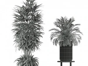 Plants collection 206 3D Model