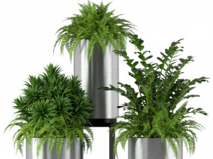 Plants collection 206 Model 3D