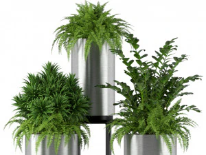 Plants collection 206 3D Model