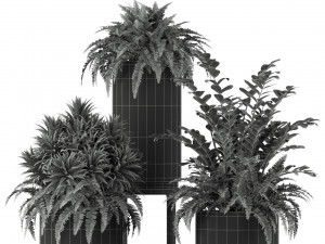 Plants collection 206 Model 3D