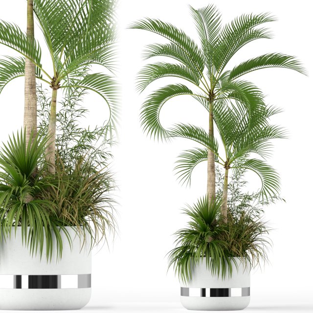 Plants collection 207 3D मॉडल .c4d .max .obj .3ds .fbx .stl .blend 