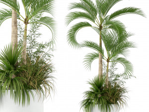 Plants collection 207 3D Модель