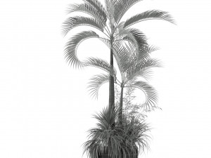 Plants collection 207 3D मॉडल