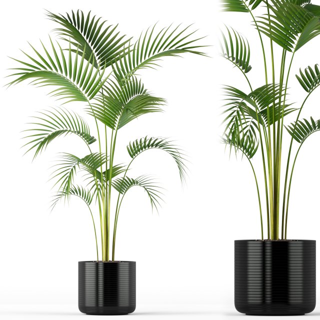 Plants collection 208 Model 3D .c4d .max .obj .3ds .fbx .stl .blend 