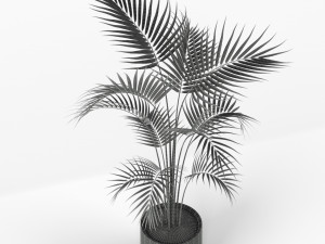 Plants collection 208 Model 3D