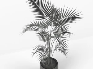 Plants collection 208 3D Model