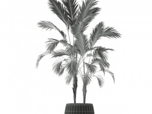 Plants collection 210 3Dモデル