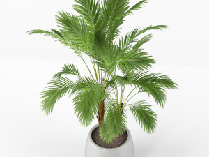 Plants collection 210 3Dモデル