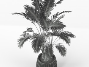 Plants collection 210 3Dモデル