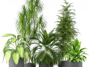 पौधों का संग्रह 211 3D मॉडल