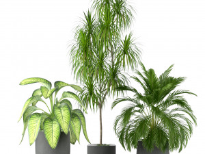 Plants collection 211 3D Модель