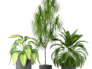 Plants collection 211 3D Model