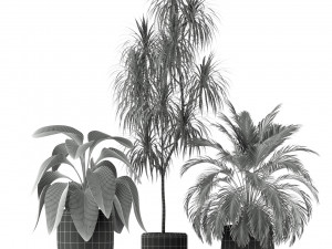 Plants collection 211 3D Модель