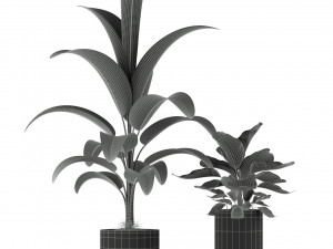 Plants collection 212 3D 模型