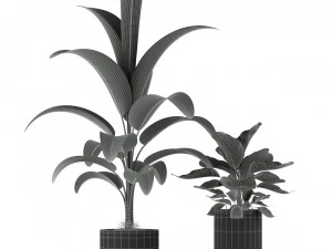 Plants collection 212 3D Model