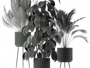 Plants collection 213 Model 3D