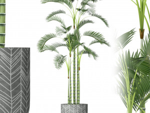 Plants collection 214 3D Model