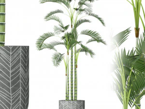 식물채집 214 3D 모델