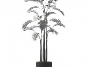 Plants collection 214 Modello 3D