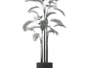 Plants collection 214 3D Model