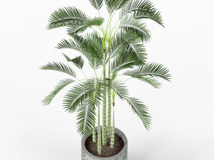 Plants collection 214 3D Model