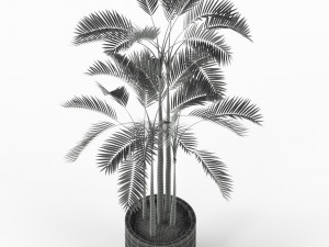 Plants collection 214 Modello 3D
