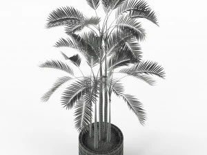 Plants collection 214 3D Model