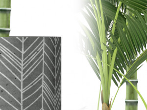 Plants collection 214 Modello 3D