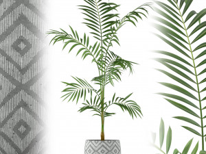 Plants collection 215 3D Model