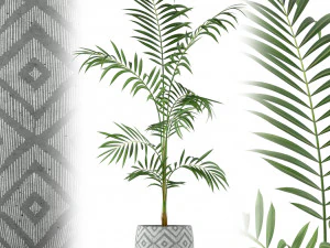 Pflanzensammlung 215 3D Modell