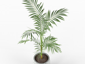 Plants collection 215 3Dモデル