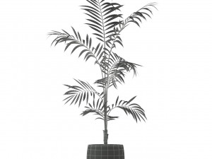 Plants collection 215 3Dモデル